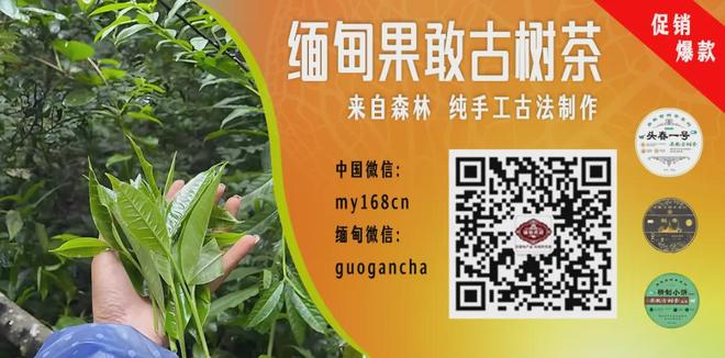 法国主帅怒喷：巴拉圭想废人！姆巴佩发声：对手踢得脏但我们赢了