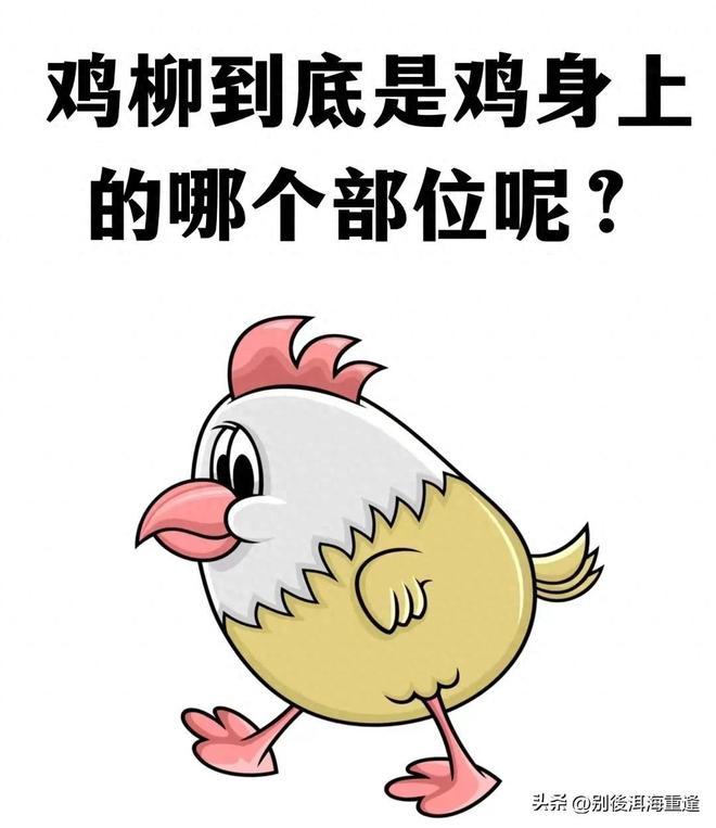 给足肯定！李弘权与上海达两年C类合同，已成上海锋线核心！