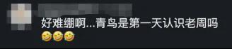 蓝白王朝，今夏能否梅开二度？