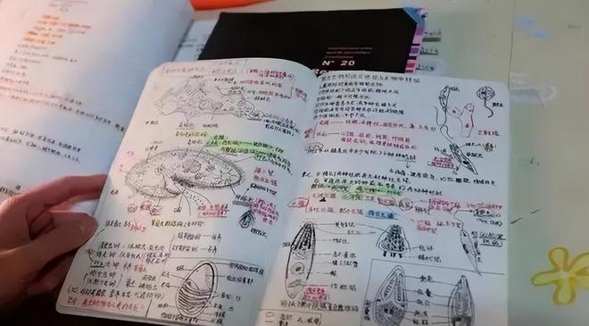 格拉斯哥双雄疯抢意甲飞翼 总监亲承:他身价已翻倍