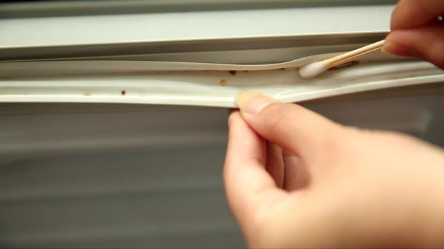 郑钦文团队辟谣华盛顿退赛传闻，网友却担心其以后没比赛可打